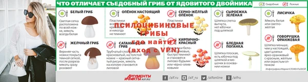 соль ск Алексин