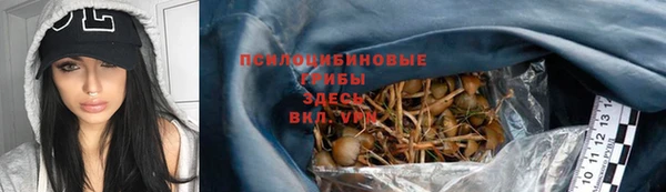 молекула духа Алзамай