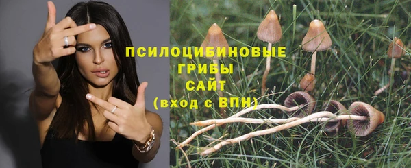 соль ск Алексин