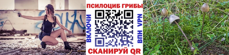 Галлюциногенные грибы Psilocybe  маркетплейс состав  Клин  закладки 